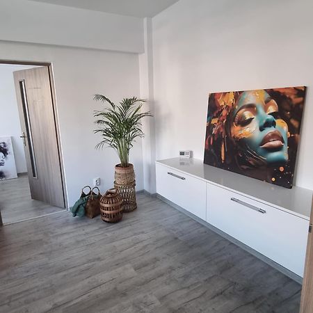 Central View Apartment Deva Exteriér fotografie